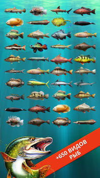 Descargar Let's Fish: Simulador de Pesca Simuladores para Android captura de pantalla 3