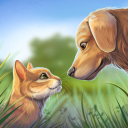 Descargar  Pet World: Refugio De Animales