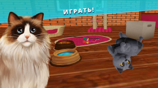 Descargar Pet Hotel - Mi pensión animal Simuladores para Android captura de pantalla 2