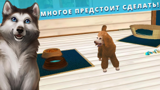 Descargar Pet Hotel - Mi pensión animal Simuladores para Android captura de pantalla 4