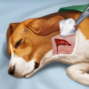 Descargar  Operate Now: Animal Hospital