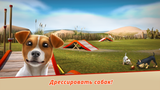 Descargar DogHotel - Juega con perros Simuladores para Android captura de pantalla 5