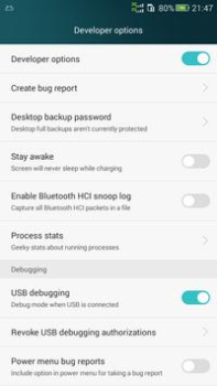 Descargar Development Settings Herramientas para Android captura de pantalla 6