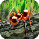 Descargar Ants Survival Simulator: ¡mund