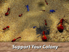 Descargar Ants Survival Simulator: ¡mund Simuladores para Android captura de pantalla 6