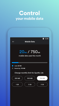 Spotify Lite