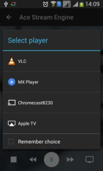 Descargar Ace Stream Media Editores y reproductores de video para Android captura de pantalla 7