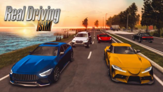 Descargar Real Driving Simulator Raza para Android