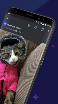 Descargar Imgur: Funny Memes & GIF Maker Foto para Android captura de pantalla 2