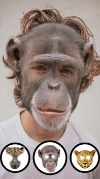 Descargar Cara De Animal Camara Efectos Entretenimiento para Android captura de pantalla 4