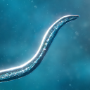 Descargar  Bionix: Spore Evolution Sim 3D