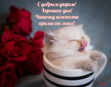 Descargar Прикольные с добрым утром Entretenimiento para Android captura de pantalla 2