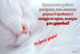 Descargar Прикольные с добрым утром Entretenimiento para Android captura de pantalla 5