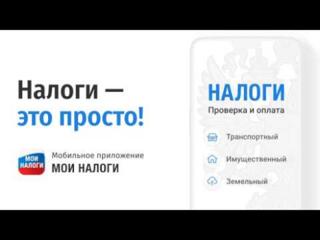 Descargar Мои налоги: личный кабинет Finanzas para Android captura de pantalla 8