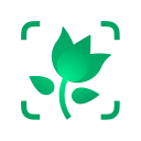 Descargar  PictureThis Identificar Planta